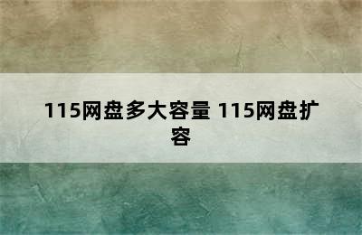 115网盘多大容量 115网盘扩容